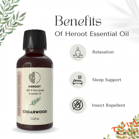 Cedarwood Heroot -чиста терапевтична ефірна олія Кедру. Індія.10 мл. Cedarwood Heroot -чиста терапевтична ефірна олія Кедру. Індія.10 мл.
