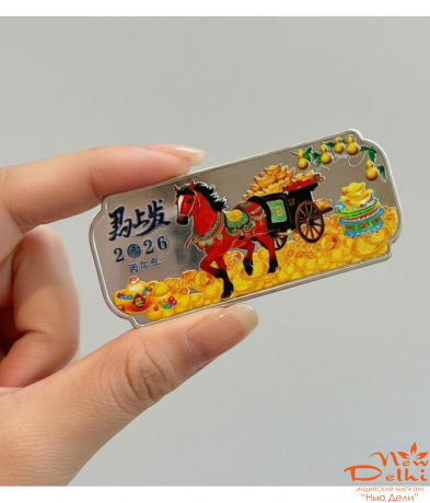 Грошова пластина "Кінь на щастя" сувенир до Нового року.Фен-Шуй, амулети на Удачу , Багатство.